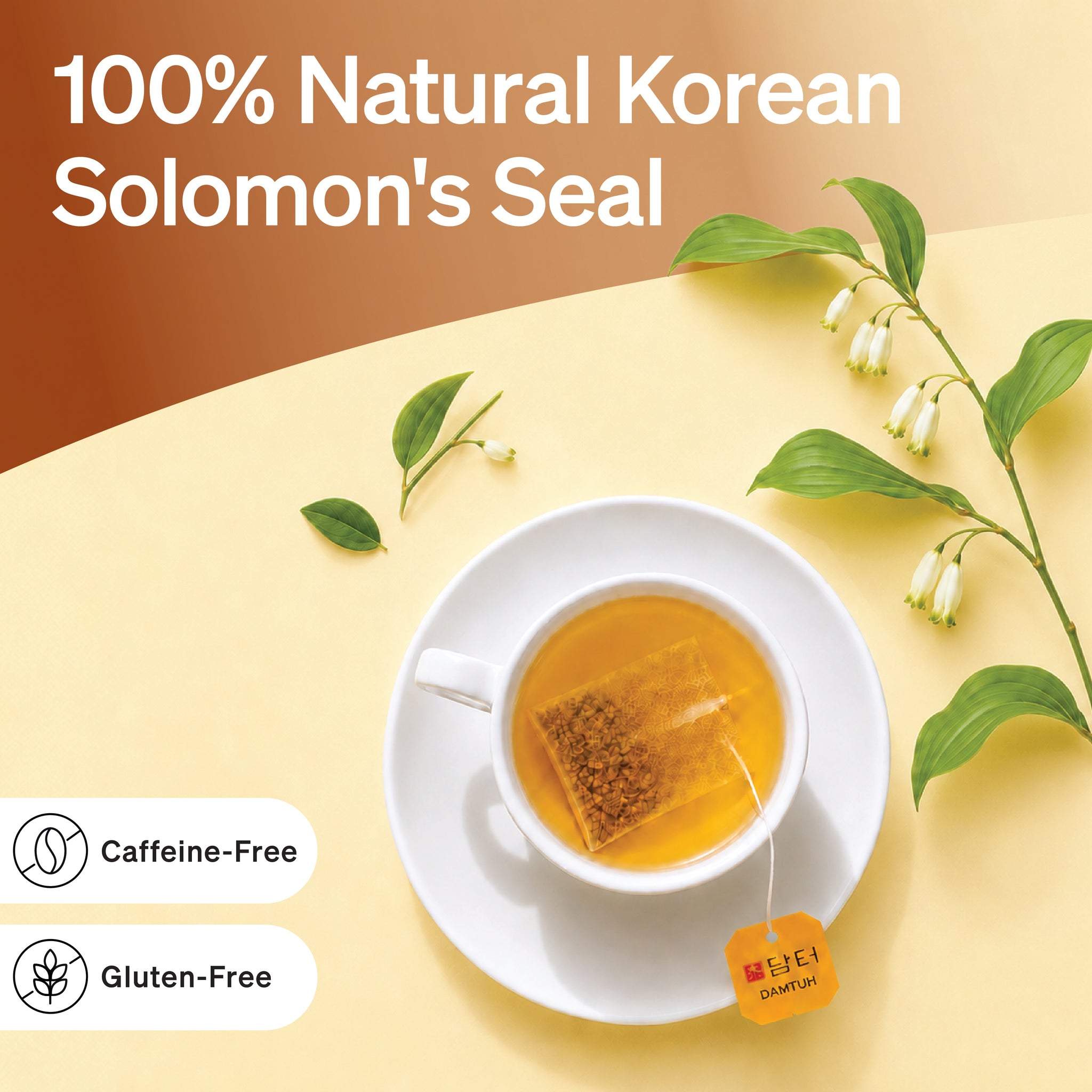 Solomon_2_2048x.jpg?v=1781910564